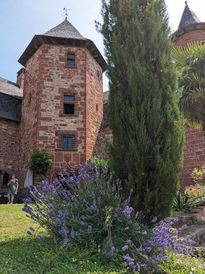Chateau De Vassinhac Chambres D'Hotes Collonges La Rouge Exteriör bild